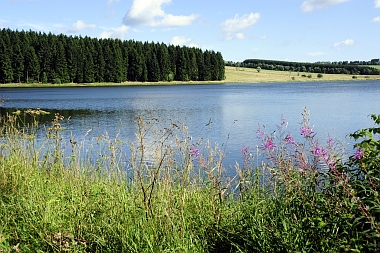 Pixhaier Teich (2) Buntenbock Oberharzer Wasserwirtschaft Bilder